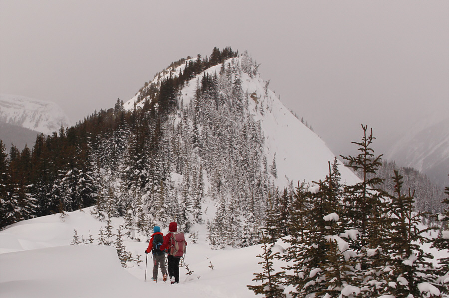 Of course it's a false summit--nothing is ever easy for a ski ascent!