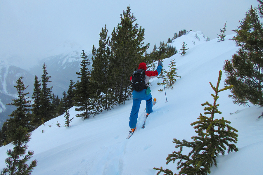 There's no turning back now!