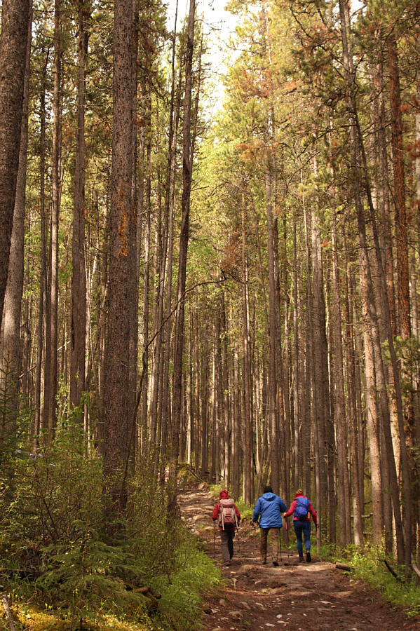 What? We have to climb uphill??