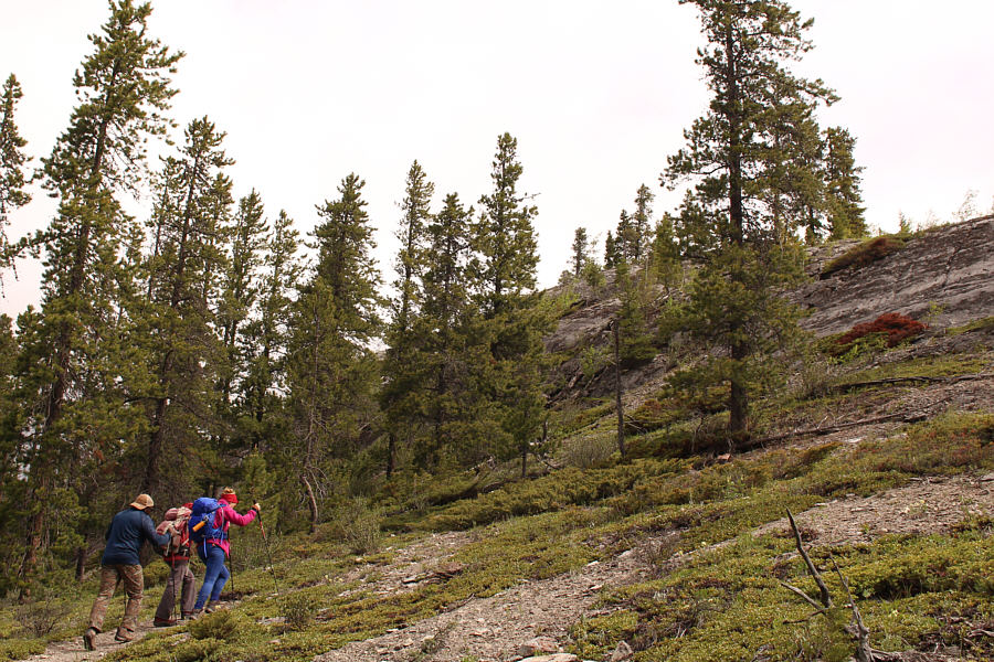 It's getting steeper...not really!