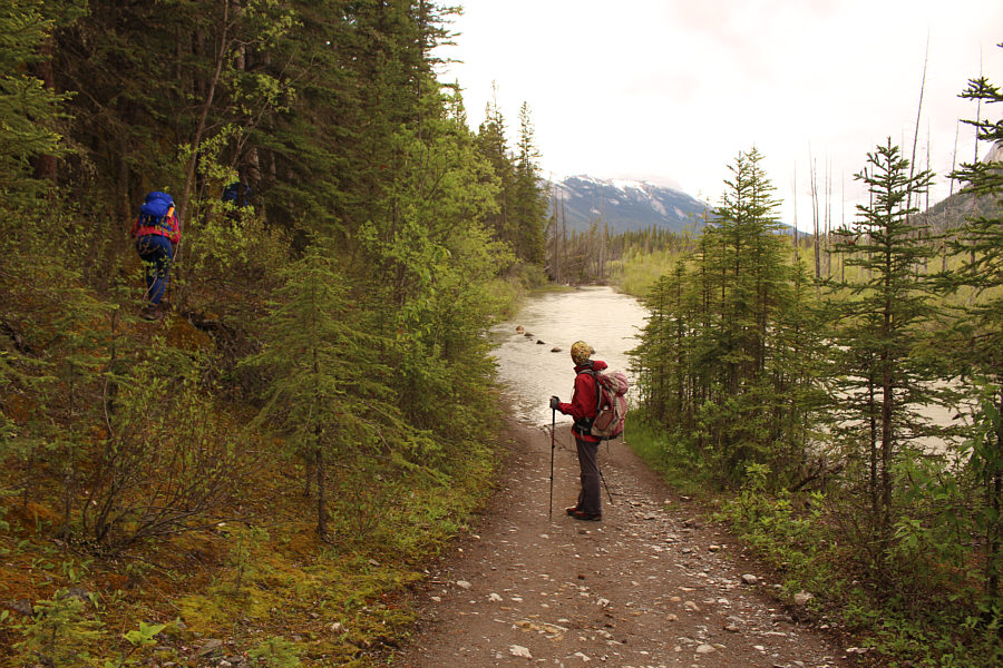 A good, beaten path suggests that this part of the trail floods regularly.