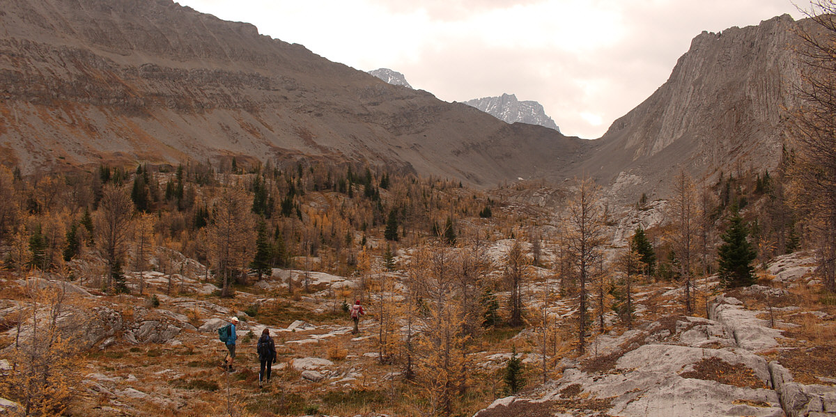 This is Bob's Valley!