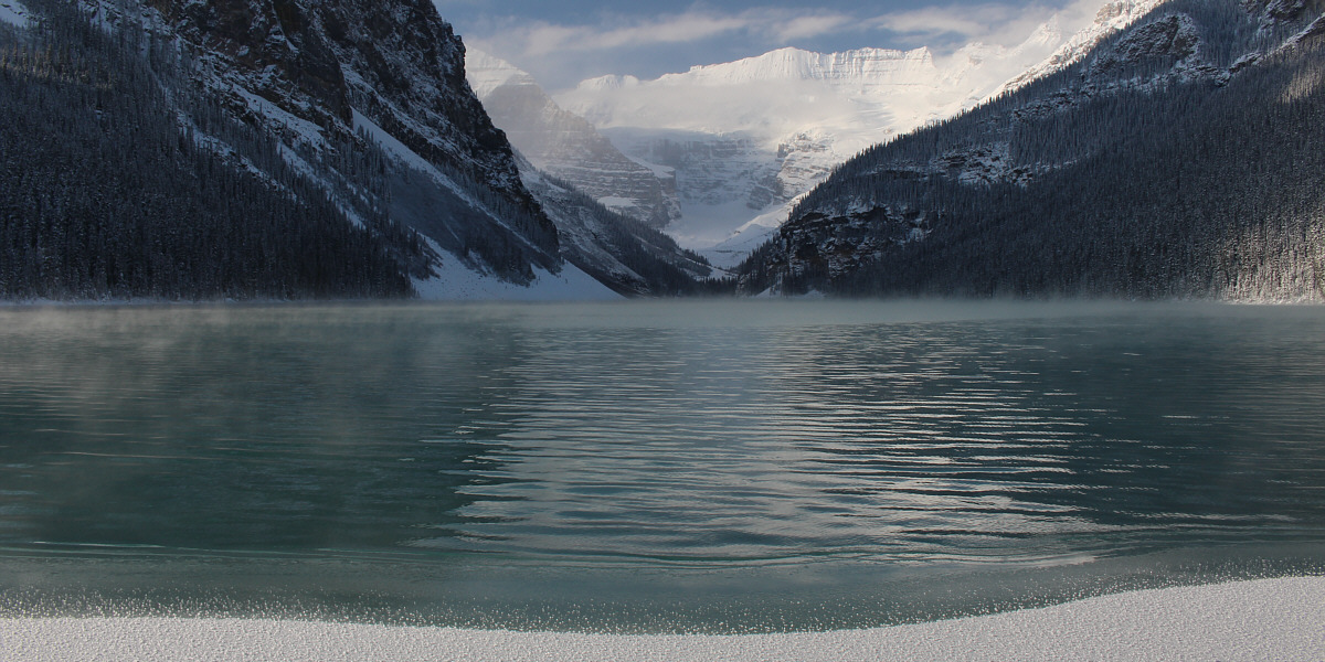 Look at me, I'm as helpless as a kitten up a tree...