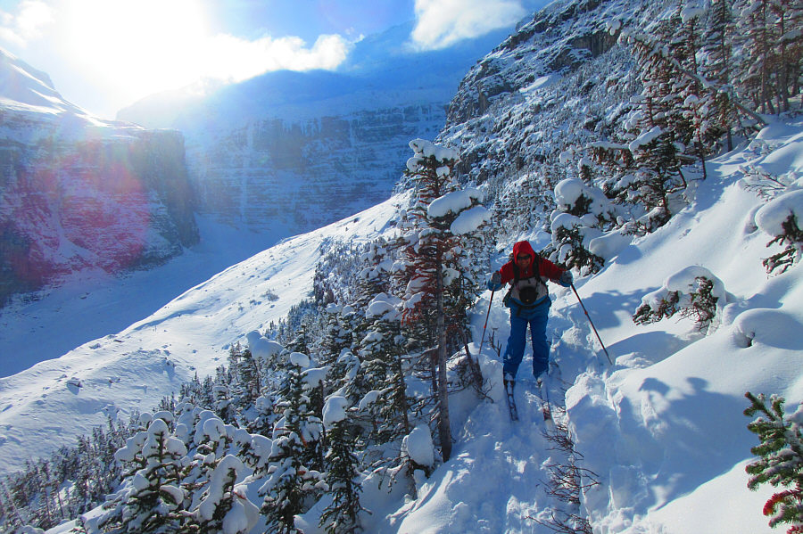 Who's idea was it to ski up here?
