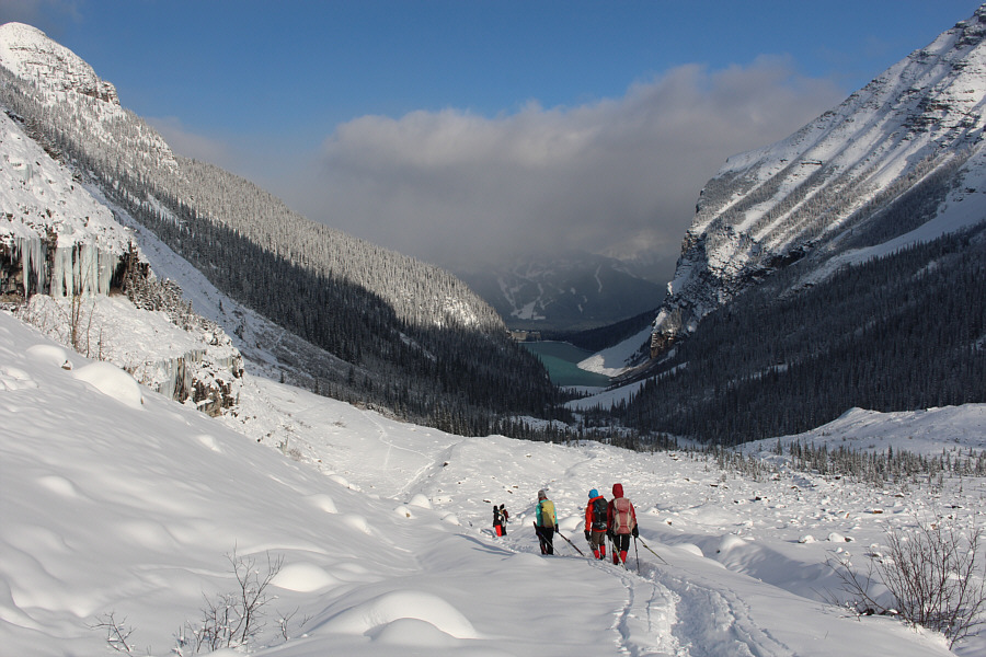 No need to risk our necks!