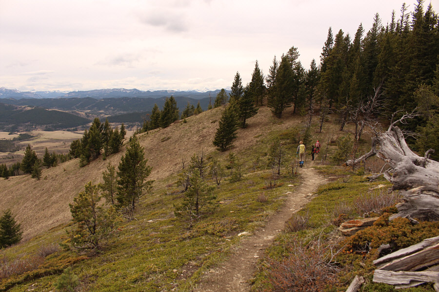 Expect to see families and dogs on this popular trail!