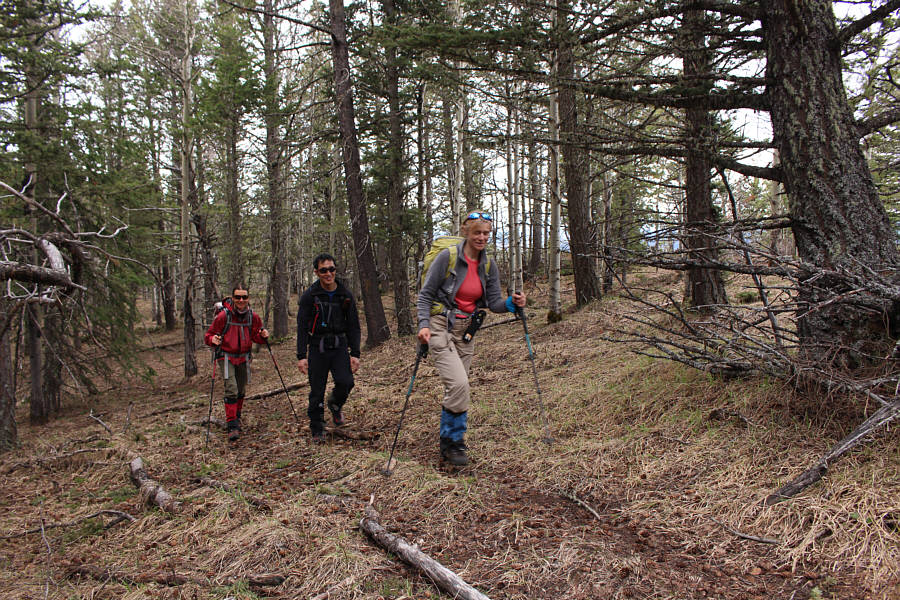 Not much to see, but it sure beats post-holing!