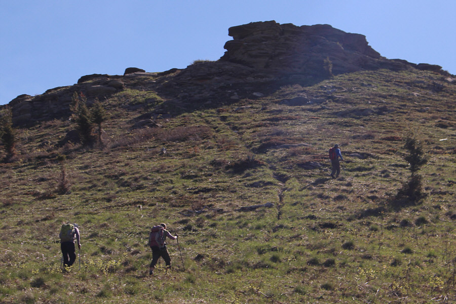 Be sure to check out the little window just below the top.