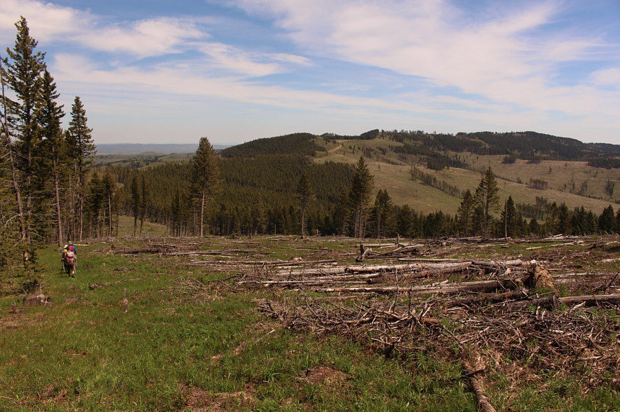 Approaching familiar ground for Zosia and me.