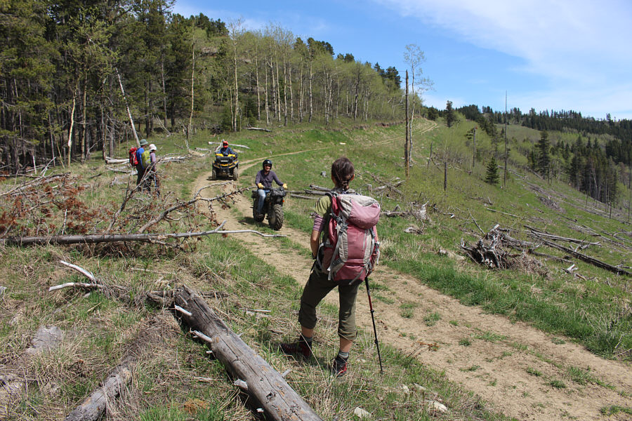 We saw several OHV enthusiasts throughout the day, but all were courteous and friendly.