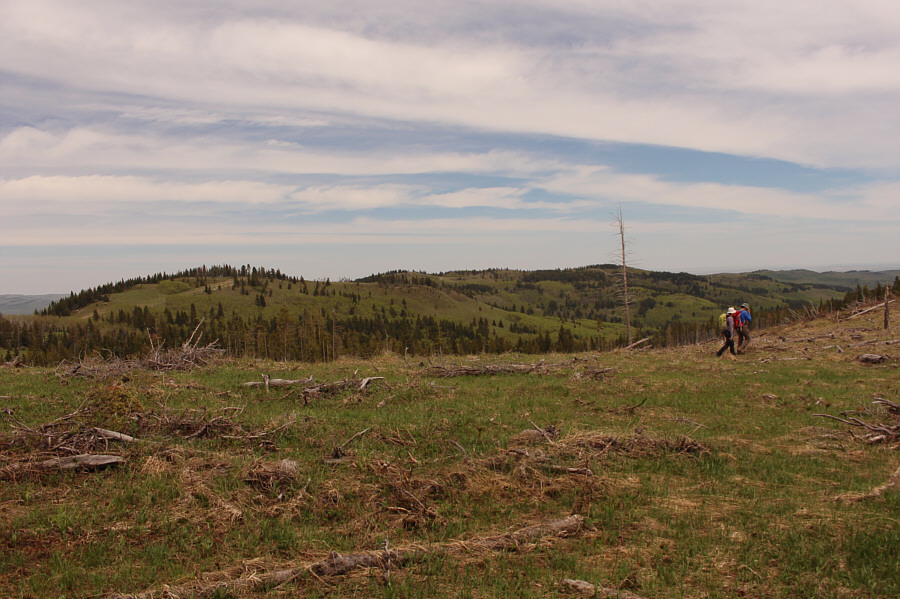 There's definitely more to explore on the eastern half of Trout Creek Ridge.