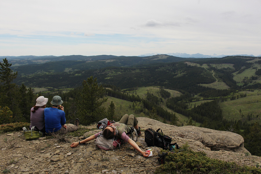 Zosia is resting like a dead bird!