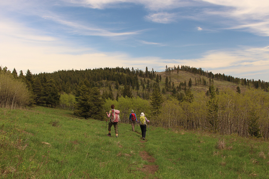We had to leave the trail a little further ahead in order to climb up the last high point.