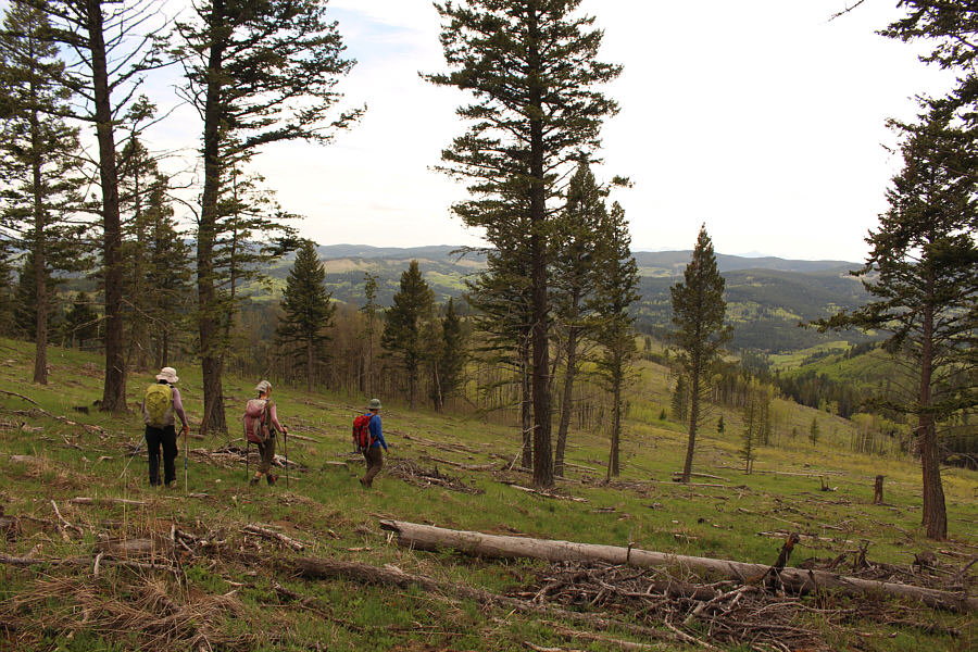 Still a lot of mostly uninspiring walking left from here!