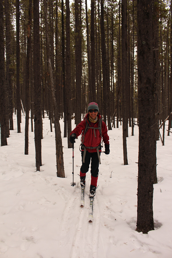 There was also a good base under the snow which made trail breaking much easier.