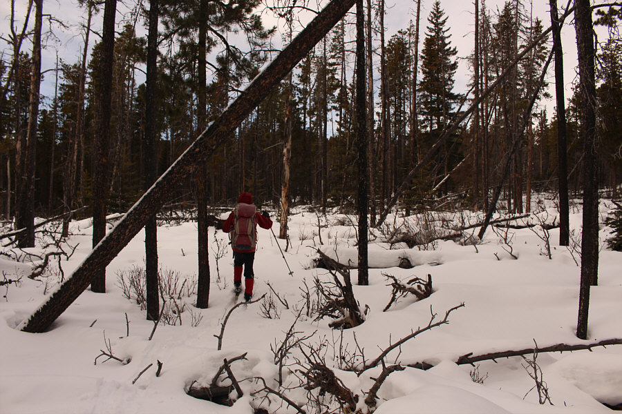 There is a lot of tedium on Mount Quirk's east ridge!