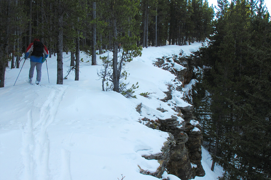 OHVs drive along here too; believe it or not!