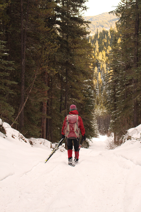 It's a real shame we can't ski this!