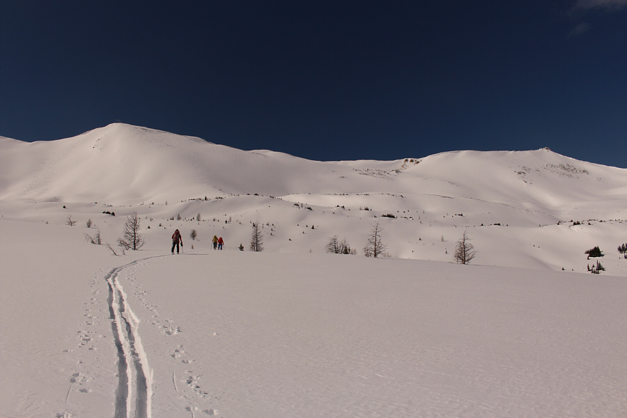 Looks glorious, doesn't it? Too bad most of the snow sucked for skiing!