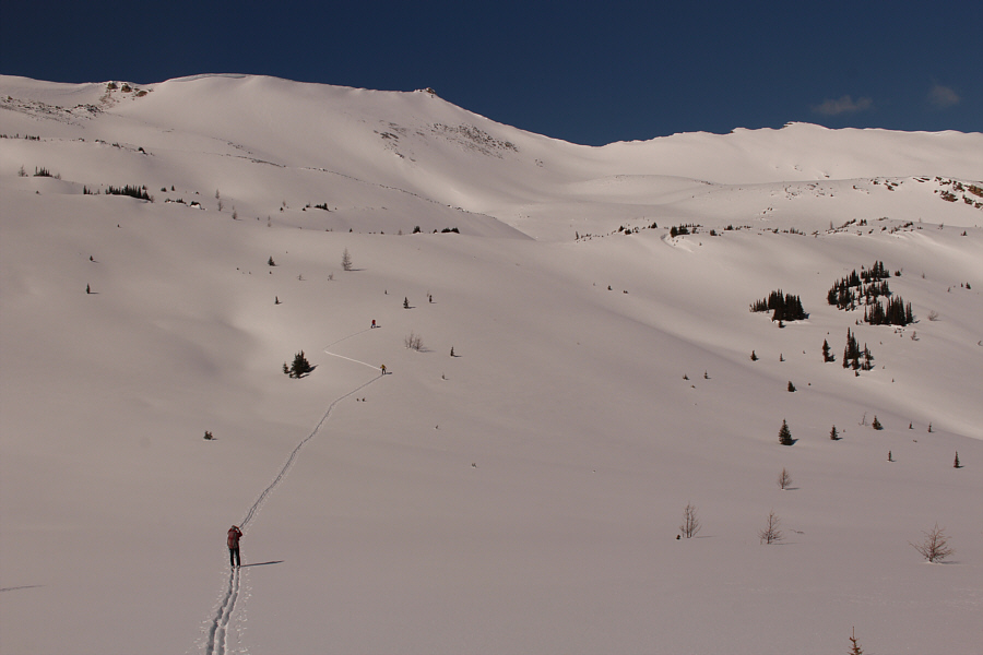 And practicing social distancing at the same time!