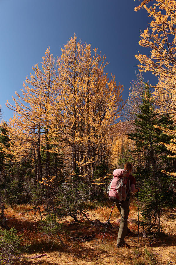 Hardest part was NOT stopping every few metres to take a photo!