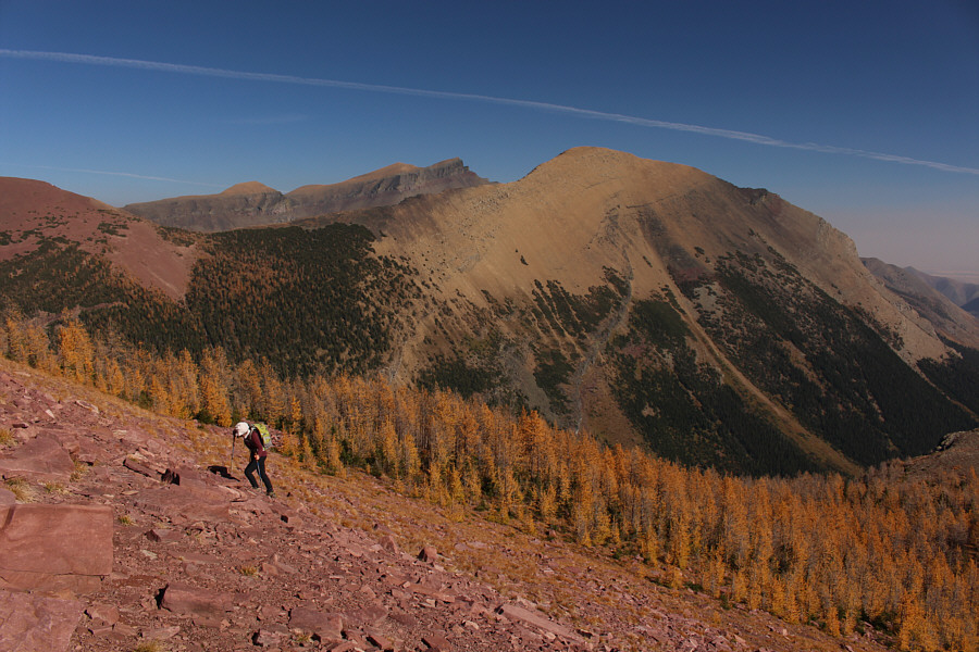 Most of the hard work is done at this point!