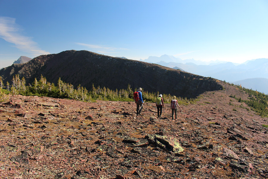 We may have to come back in winter to ski this!