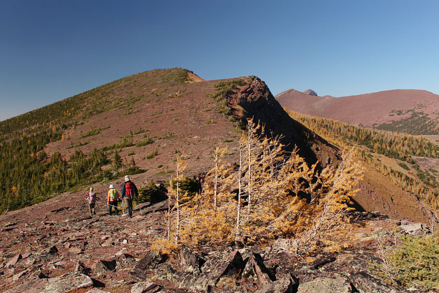 We have to pay PST here!