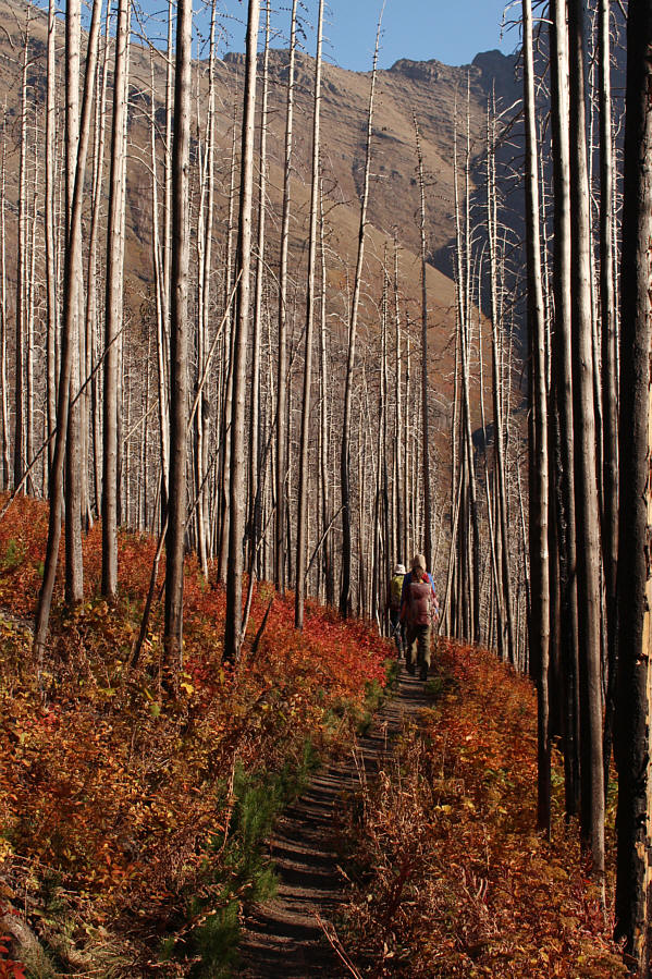 Amazing colours late in the day!
