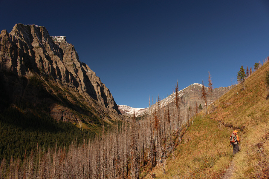 It's roughly about 1.8 kilometres from the trailhead on Akamina Parkway.