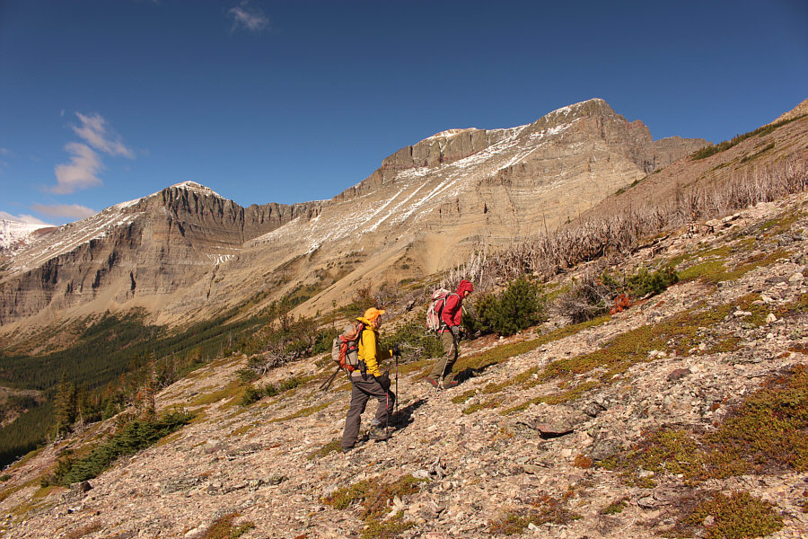 If it wasn't for the bears, he probably would have been close to the summit by now!