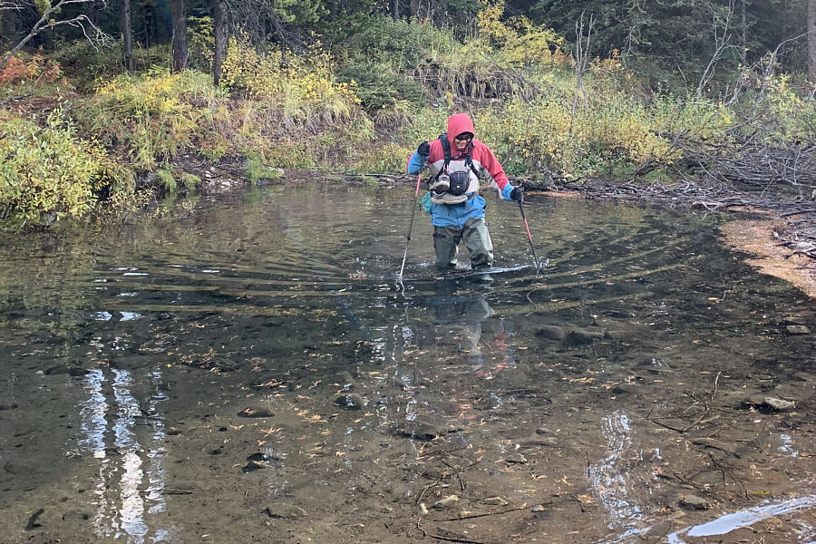 This also wasn't necessary!