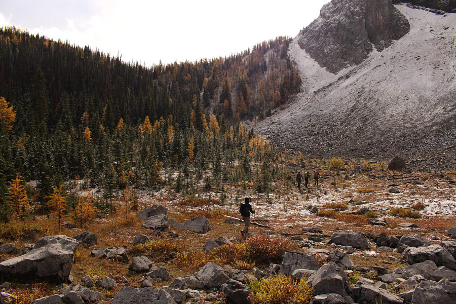 Better to scree bash than bushwhack!