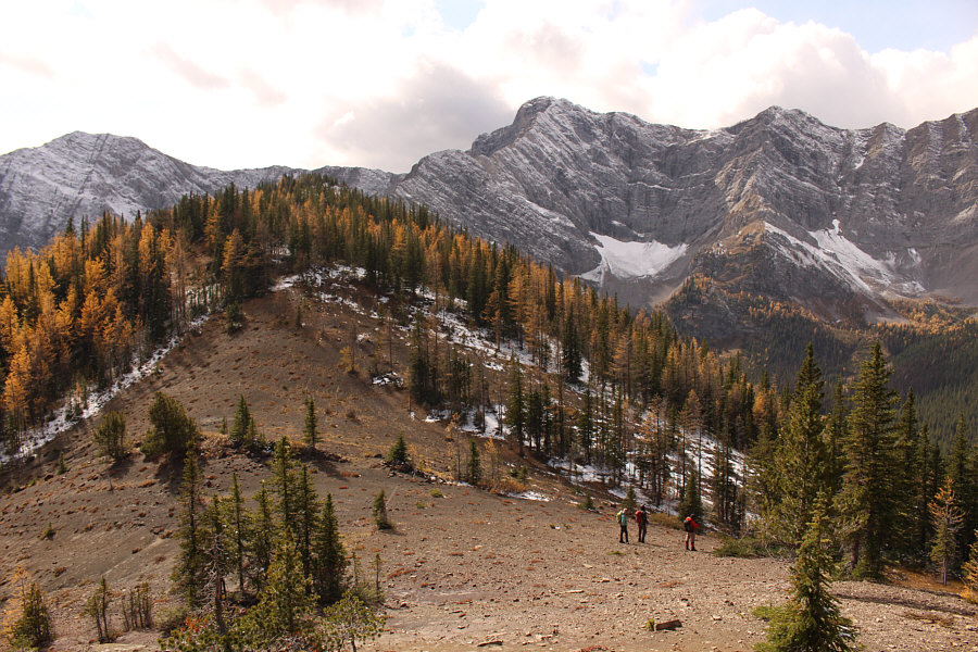 I'm not usually keen on short cuts, but...