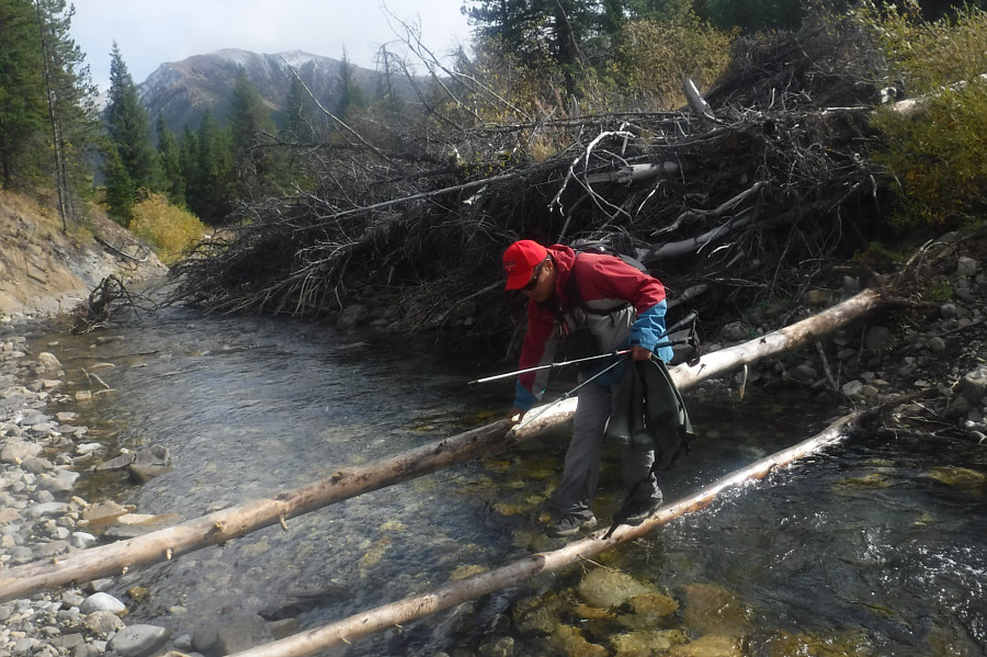 Actually, my shoes and socks were already soaked anyway from the hike!