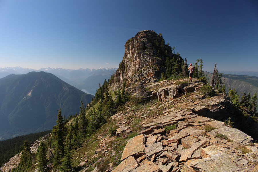 Just too enticing a knob to pass up!