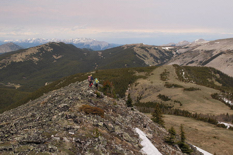 The rocks on the ridge crest are a bit tedious to walk over. It might be better to drop off the ridge sooner and hike the grassy meadows at lower right.