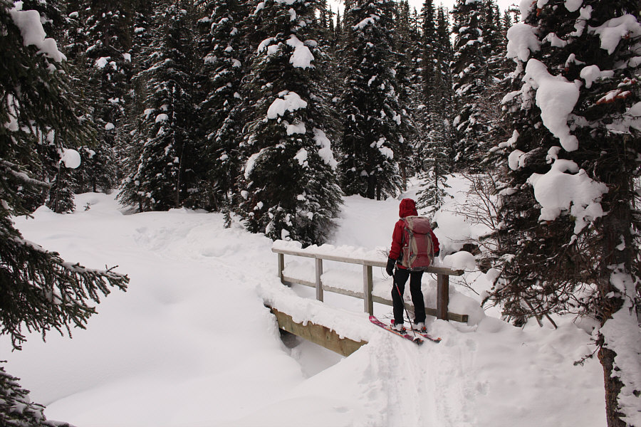 Thank goodness we have a broken trail to follow!