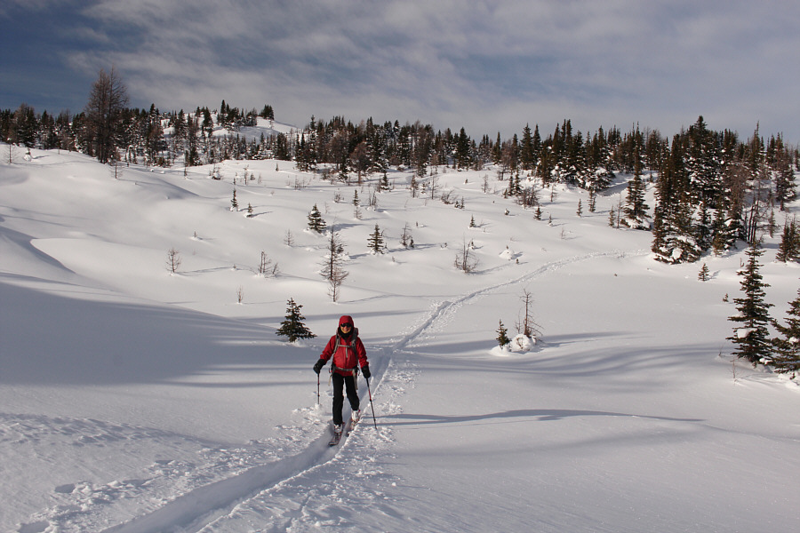 This is what we toiled all day for!