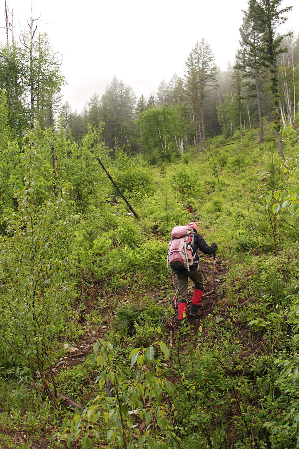 Classic "sucker's trail"!