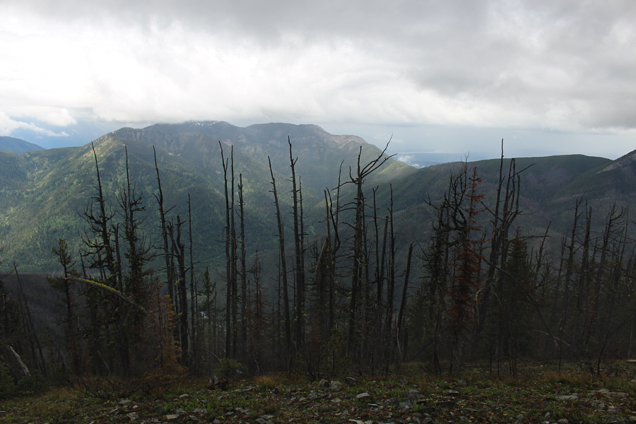 I'm thankful that we could see anything at all from the top on this rainy day!