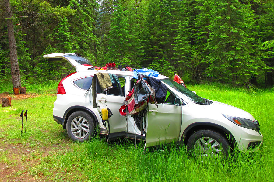 Reminds me of a Christmas tree for some reason. Merry Christmas!