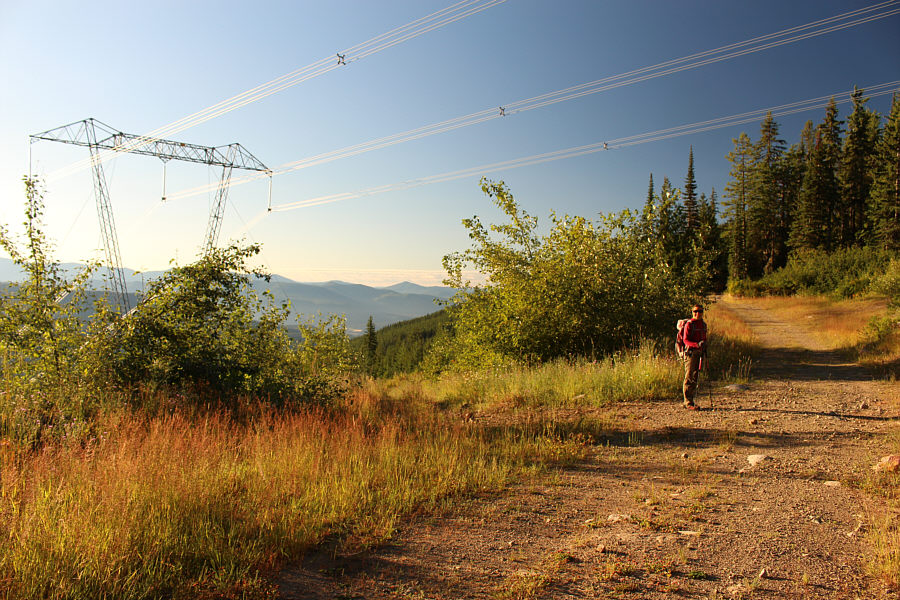 There's a marshy pond just above the road here.