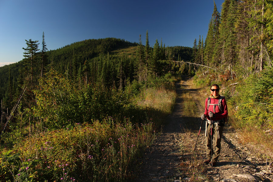 Hmmm...another forested summit...