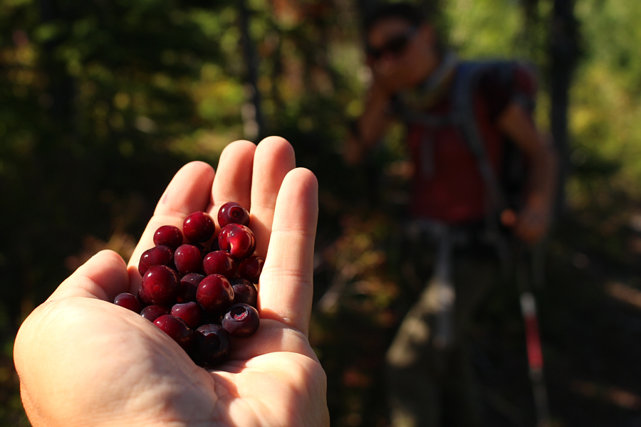 Hence, the extended round-trip time!