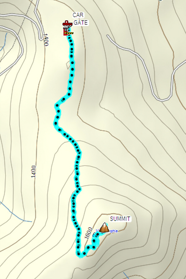 Come for the berries!