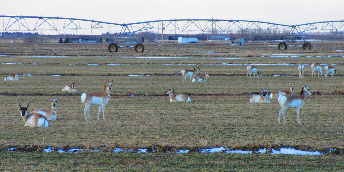 Nice shooting gallery!