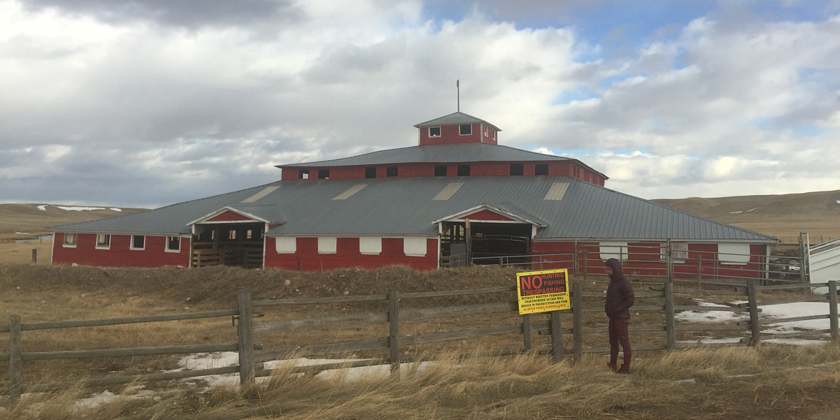 Hmmm...I smell bullsh*t!