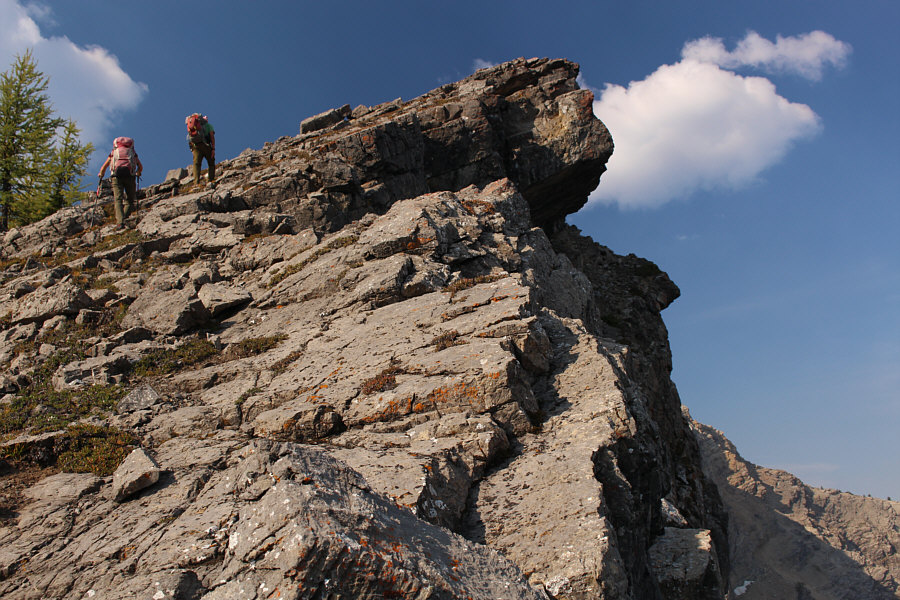 And enjoyable too! No bushwhacking!