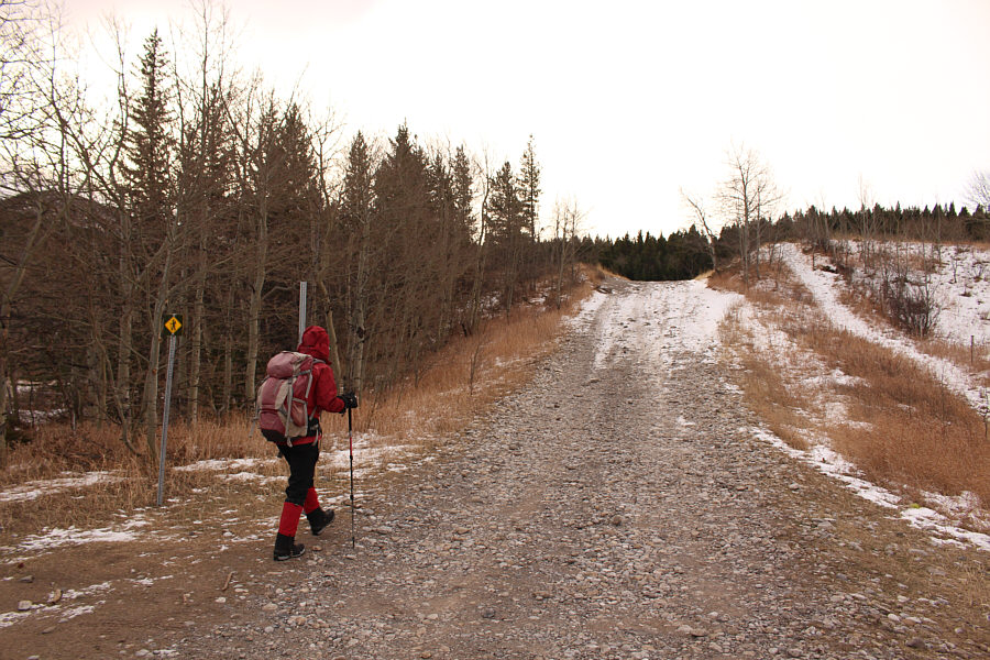 The road doesn't look that bad here, but it was rough and very icy.